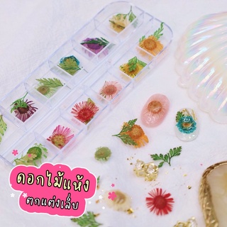 ดอกไม้แห้งตกแต่งเล็บ  12สี