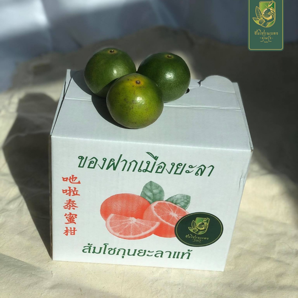 ส้มโชกุนเบตงแท้ เบอร์ 1 ( 7 ลูก/กิโลกรัม) กล่อง 3 กิโล