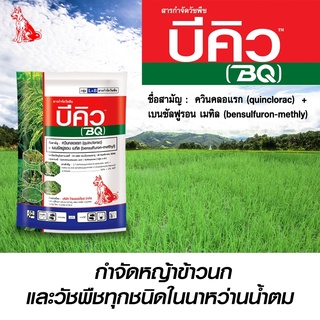 บีคิว ซอง 250 กรัม สารกำจัดวัชพืช ควินคลอแรก (quinclorac) +เบนซัลฟูรอน เมทิล (bensulfuron-methly) 34%+2% WP