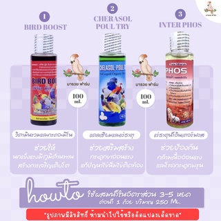 วิตามินรวมสำหรับนก Bird Boots 100ml. สำหรับนกแก้ว