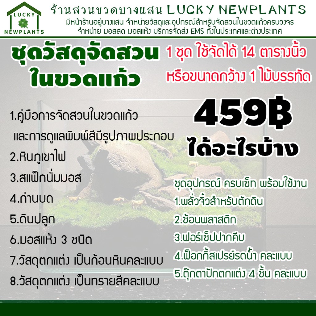 ชุดจัดสวนในขวดแก้ว ขนาดใหญ่พิเศษ จัดได้ 12-14 ตารางนิ้ว ราคา ถูกที่สุด ดีลบีเคเค แกลเลอรีภาพที่ 9