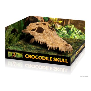 Exo TERRA CROCODILE SKULL BONE REPTILE SECURE HIDING PLACE TERRARIUM ทะเลทรายเขตร้อน การตั้งค่าการตกแต่ง ORNAMENT