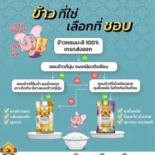 8.8 ลดสุด(ซื้อในไลฟ์โค้ด40%) ข้าวหอมมะลิกลางปี (ปี68) 5KG ตราพญาไอยรา