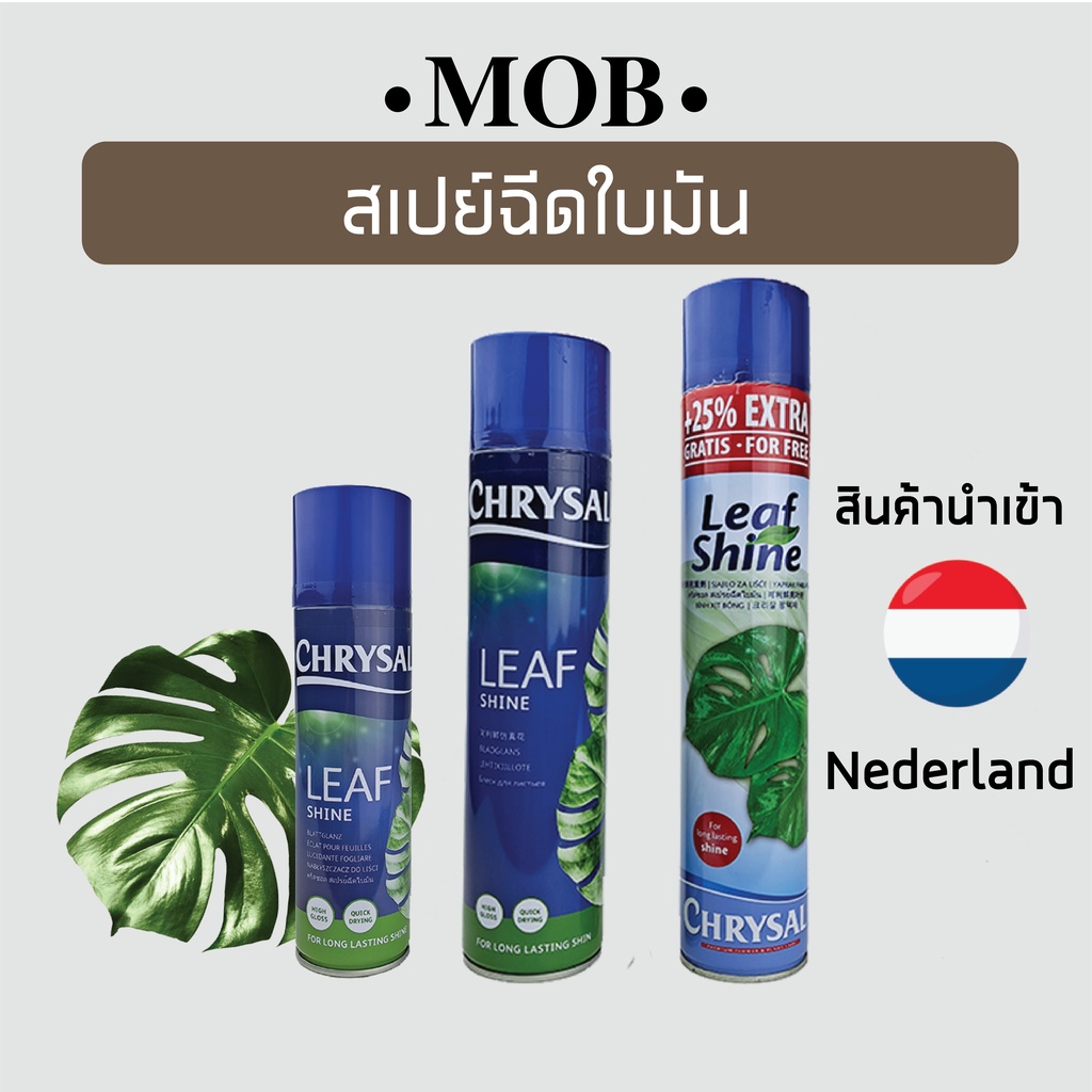 MOB Chrysal Leaf shine คริสซอล สเปรย์ฉีดใบเงา ฉีดใบมัน เคลือบเงาใบไม้ ขนาด 600 มล. และ 750 มล