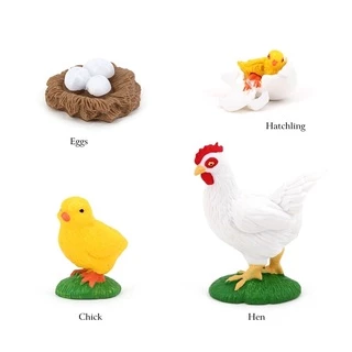 Tray & Animal life cycle Sensory play โมเดลวงจรชีวิตสัตว์ ถาดวงจรชีวิตสัตว์ 61แบบ(พร้อมส่งจากไทย) montessori sensory bi