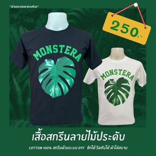 เสื้อลาย มอนสเตอร่า monstera ขายดี สุดฮิต