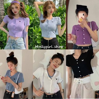 Mollygirl เสื้อไหมพรมแขนสั้นปักลายผีเสื้อ 3149