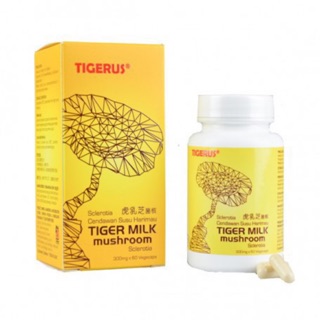 TIGERUS TIGER MILK MUSHROOM SCLEROTIA 300mg x 60’s - SINUS, ASTHMA RELIEF 虎乳芝