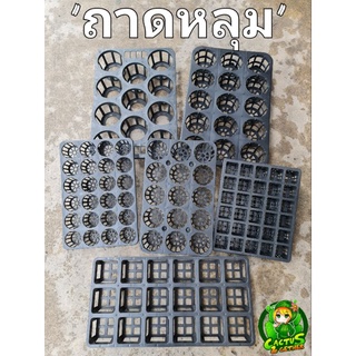 (ถาดหลุม)สำหรับใส่กระถางเคลื่อนย้ายสะดวก