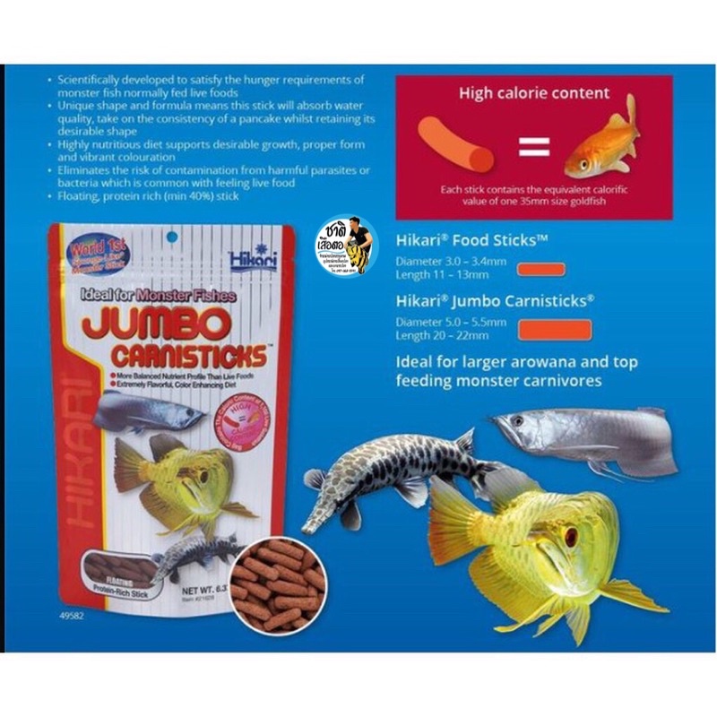 Hikari Jumbo Carnisticks 182 g. (อาหารสำหรับปลามังกร และปลากินเนื้อทุกสายพันธุ์ เม็ดใหญ่) ราคา ถูกที่สุด ดีลบีเคเค แกลเลอรีภาพที่ 2