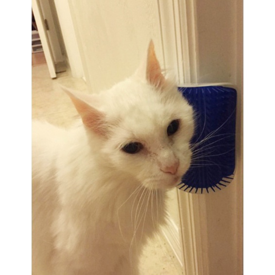 PP-119 แปรงนวดสัตว์เลี้ยง สุนัข หมา แมว หวีขน ติดผนัง Petbrush ⭐️พร้อมส่ง⭐️