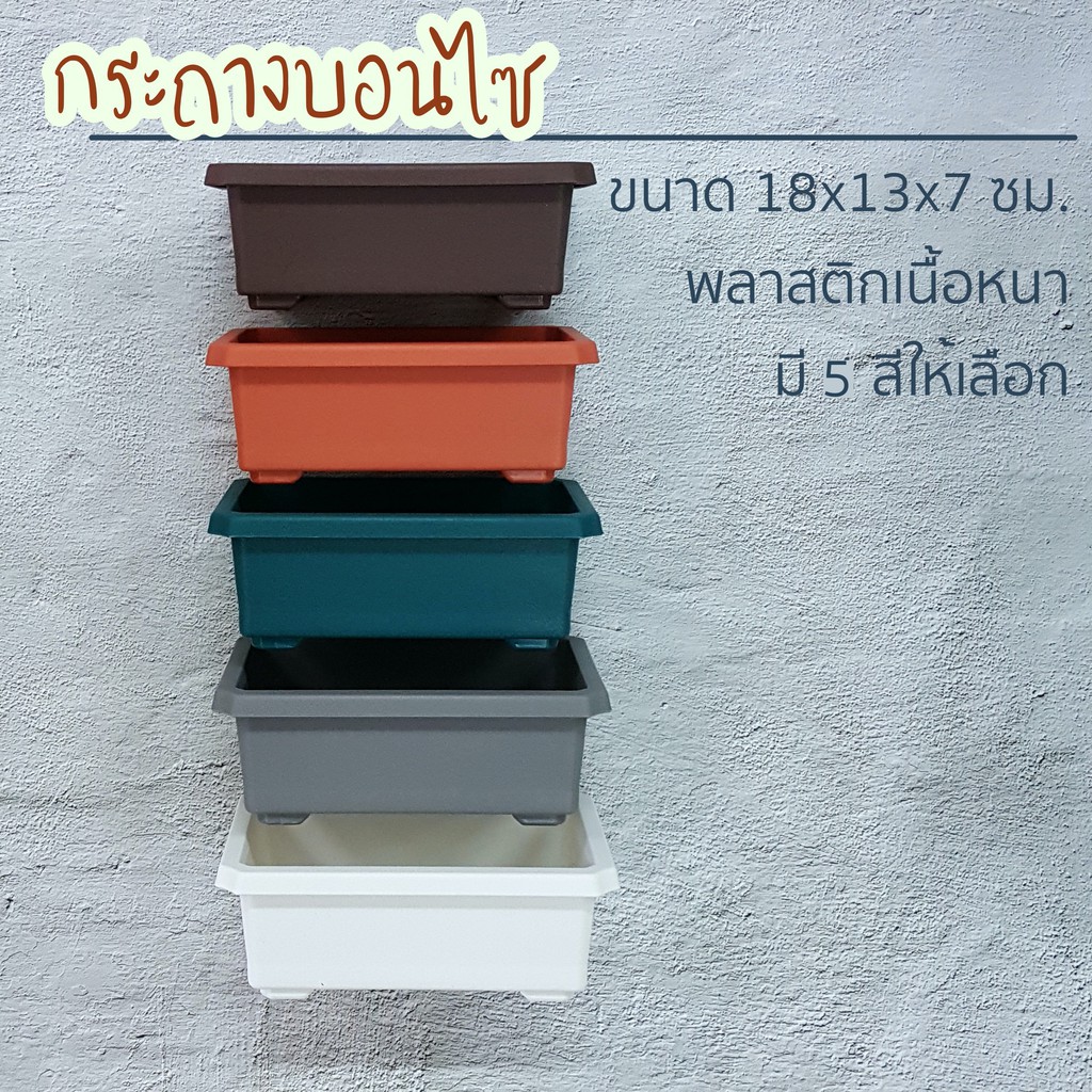 กระถางบอนไซ ขนาด 5*7 นิ้ว สูง 2.5 นิ้ว ปลูกต้นไม้ MicroGreen เพาะชำ บอนไซจิ๋ว พลาสติก เนื้อหนา ทนทาน
