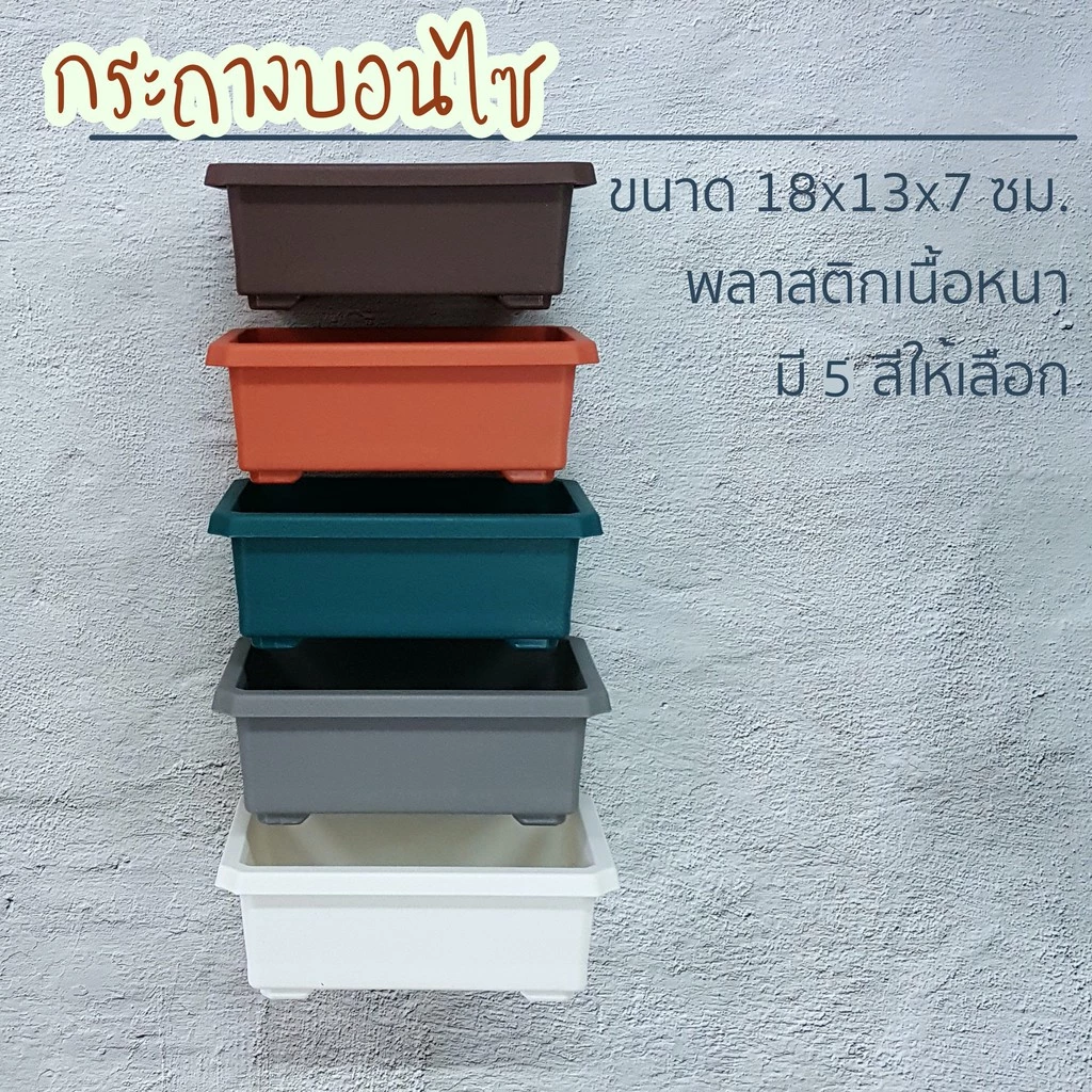 Best saller กระถางบอนไซ ขนาด 5*7 นิ้ว สูง 2.5 นิ้ว กระถางต้นไม้ กระถางเพาะชำ กระถางบอนไซจิ๋ว กระถางพลาสติก เมล็ดฟ้าทะลายโจร เมล็ดแคนตัส เมล็ดผัก เมล็ดพืช กล้วยไม้