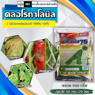 เอจีทาโลนิล คลอโรทาโลนิล ขนาด 100 กร้ม (chlorothalonil) ราน้ำค้าง คอโรทานิล คลอโรทาโรนิล ราสนิม ราสนิมแคคตัส ราน้ำค้าง