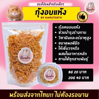 💖Hamsterthailand💖 กุ้งอบแห้ง พร้อมส่ง‼️ ขนมสำหรับสัตว์เลี้ยง แฮมสเตอร์ เม่นแคระ ขนม อาหาร สำหรับสัตว์เลี้ยง กุ้ง
