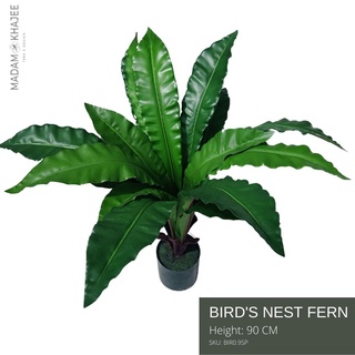 Birds nest Fern - Height 90 cm ต้นเฟิร์นข้าหลวง ความสูง 90 ซม.ต้นไม้ปลอมเกรดพรีเมี่ยมเพื่อการตกแต่ง