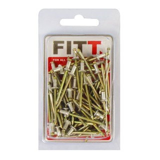 ALUMINUM RIVETS FITT NO.4-2 70EA ตะปูอะลูมิเนียมยิงรีเวท FITT #4-2 70 ตัว สกรู, น๊อตและแหวน อุปกรณ์ยึดติด เครื่องมือช่าง