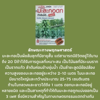 หนังสือเกษตร มะละกอดกทำเงินได้ไม่ยาก :  ปัจจัยที่ควบคุมการแสดงเพศของมะละกอ, พันธุ์มะละกอ, การขยายพันธุ์มะละกอ