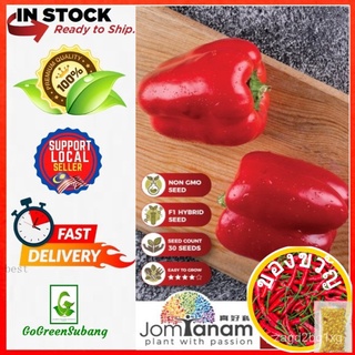 JOM TANAM SEEDS BENIH LADA BENGGALA MERAH CAPSICUM JINGLE BELL CODE 119 BY CROP POWERสร้อยข้อมือ/ผักกาดหอม/แอปเปิ้ล/เมล็