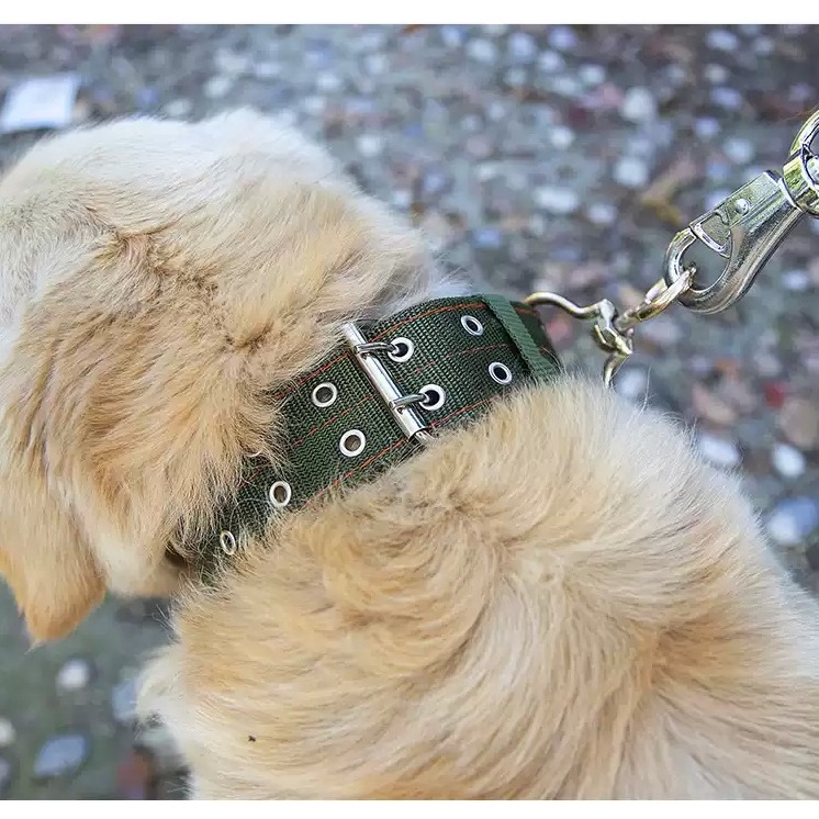 ปลอกคอสุนัข ปลอกคอไนล่อน ปลอกคอสัตว์เลี้ยง 5 ขนาดให้เลือก / Dog Collar Nylon Collar Pet Collar 5 Sizes