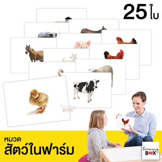 flashcard แฟลชการ์ด บัตรคำศัพท์ใหญ่ [ หมวดสัตว์ในฟาร์ม Farm animal]