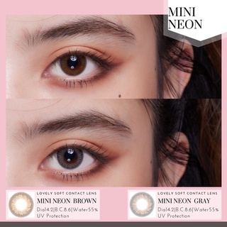 Mini Neon Brown/Gray ค่าสายตา 0.00-600