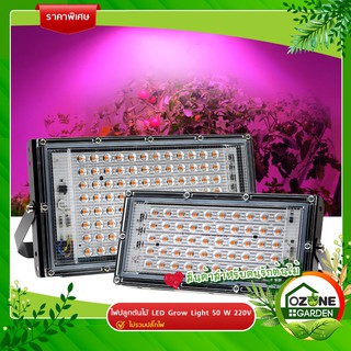 ไฟปลูกต้นไม้ ไฟ LED Grow Light 50W 220V ไฟช่วยต้นไม้โตเร็ว (ไม่รวมปลี๊ก)