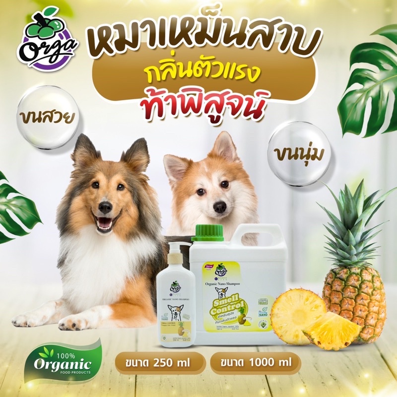 แชมพูกลิ่นตัวแรงกลิ่นสาบสูตรสัปปะรด1000ml.ขนนุ่มขนขาวตัวหอมนาน