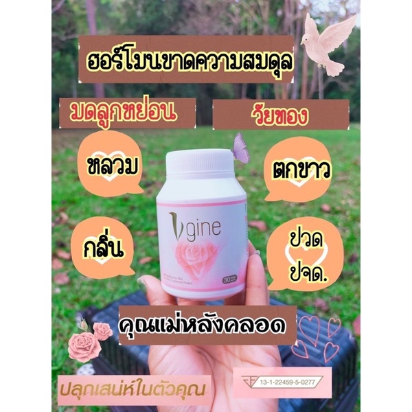 วีจิเน่ ส่งฟรี Vgine สมุนไพรสำหรับผู้หญิง อกฟูรูฟิต วีจีเน่ วัยทอง ตกขาว มีกลิ่น คัน ช่องคลอดหลวม ปวดประจำเดือน