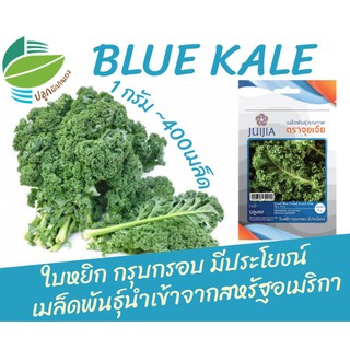 🌈ลด 60.- ใช้โค้ด LF5HZQ / ผักเคล คะน้าใบหยิก (Blue Kale)​ ~400เมล็ด นำเข้าจากสหรัฐ​อเมริกา​