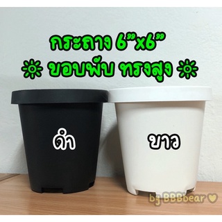 10 ใบ กระถาง 6 นิ้ว กระถางปากกลม สีขาว สีดำ กระถางพลาสติก กระถางขอบพับ กระถางกลม กระถางต้นไม้ กระถางตอ