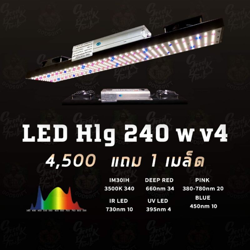 LED  XLG 240 W ราคา 4500