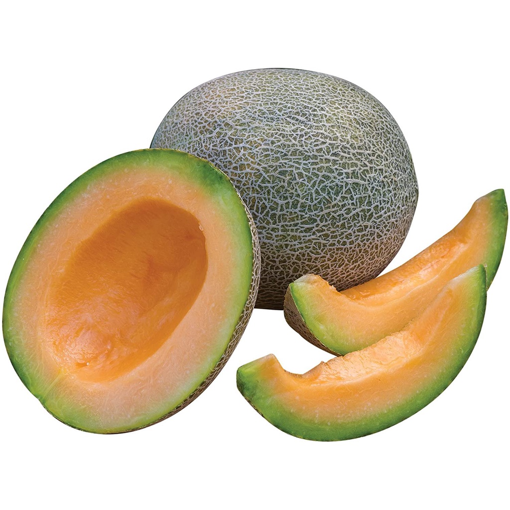 ผ จำหน ายเมล ดพ นธ Burpee Ambrosia Cantaloupe Melon Seeds 10 Seeds Shopee Thailand