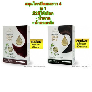 สมุนไพรปิดผมขาว 4in1 artiscent สีย้อม ยาย้อม ผม สารสกัดธรรมชาติ Natural Hair Dye Dark Brown อาทิเซ้นท์เนเชอรัล แฮร์