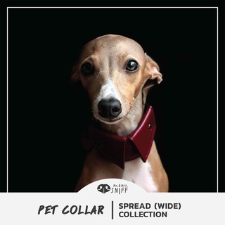 ปลอกคอสัตว์เลี้ยง Spread pet collar (หนา) สลักชื่อ เบอร์โทรฟรี หนังนิ่มแท้ ปลอกคอสุนัข ปลอกคอปกเชิ้ต | Mr.&amp;Mrs.Sniff