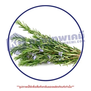 E010RM Rosemary Essential Oil : น้ำมันหอมระเหย โรสแมรี่