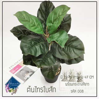 (พร้อมส่ง)ต้นไม้ปลอมต้นไทรใบสัก สูง47CM.