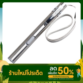 ไฟฉายปากกา ไฟฉายขนาดเล็ก ไฟฉายสเตนเลส LED ขนาดพกพาชาร์ต USB L0023