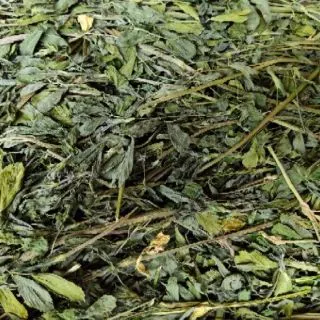 Super Premium Alfalfa หญ้าอัลฟาฟ่าพรีเมี่ยม 800 กรัม สำหรับกระต่าย ชินชิล่า แกสบี้