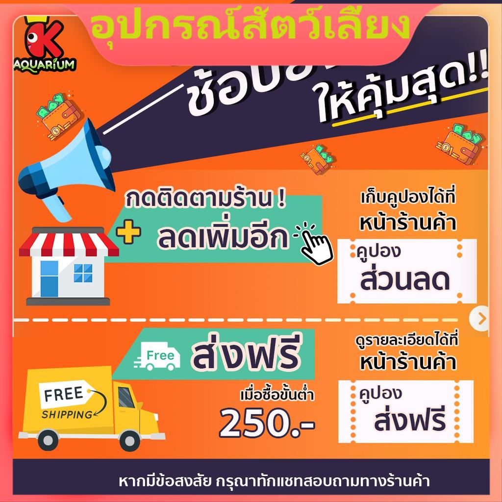 My Image 14