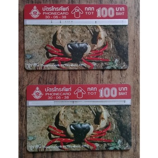 [ของสะสม] บัตรโทรศัพท์ทีโอที (TOT) ปี 2538 ภาพปูราชินี ราคาหน้าบัตร 100บาท  แถบด้านบนสีแดง  สภาพดี