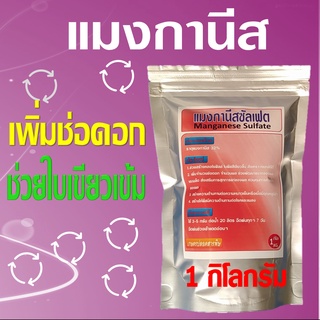 แมงกานีสซัลเฟต ผงจุลธาตุแมงกานีส 32% ช่วยสร้างคลอโรฟิลล์ ใบพืชสีเขียวขึ้น สังเคราะห์แสงได้ดี เพิ่มจำนวนช่อดอก 1 กิโลกรัม