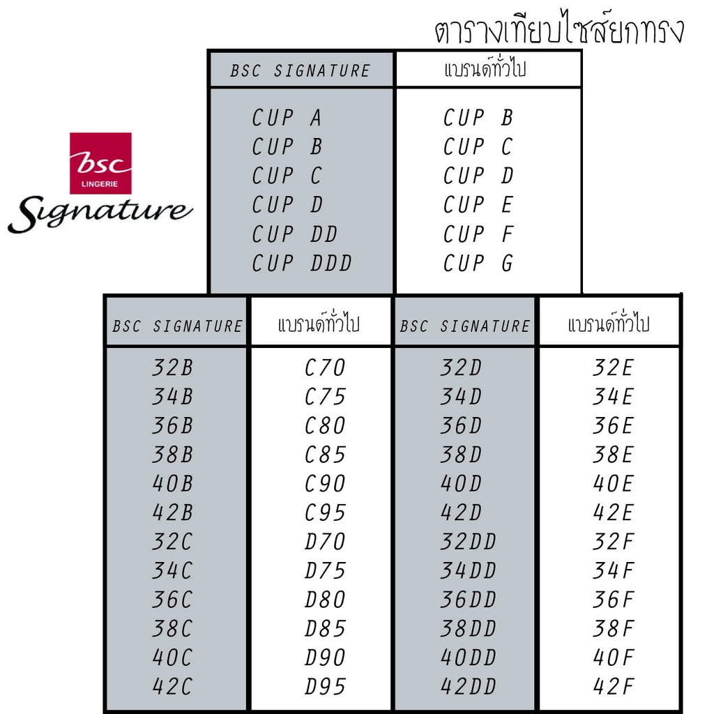 Signature by bscยกทรงCB3352 BIG CUP มีโครง ฟองน้ำตัดต่อบาง สำหรับสาว เต้า 3/4 ลูกไม้เซ็กซี่ ซับฟองบาง เก็บทรงดี — صورة 7