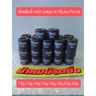 น้าคมน็อตซิ่ง เม็ดตุ้มน้ำหนัก คาร์บอน payu Forza เบอร์ 12g,13g,14g,15g,16g,17g,18g,19g,20g,22g,23g.21g.(ราคาต่อ1เม็ด)