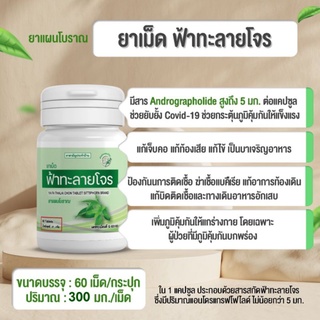 ฟ้า-ทะ-ลาย-โจร 300มก. ชนิดเม็ด 60เม็ด