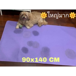 แผ่นนองฉี่ซักได้Dogbuddy