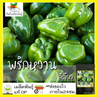 ผลิตภัณฑ์ใหม่ เมล็ดพันธุ์ 2022เมล็ดอวบอ้วน พริกหวาน สีเขียว 50 เมล็ด Green Sweet Pepper seeds เมล็ดอวบอ้วนแท้ น /คะน้า I