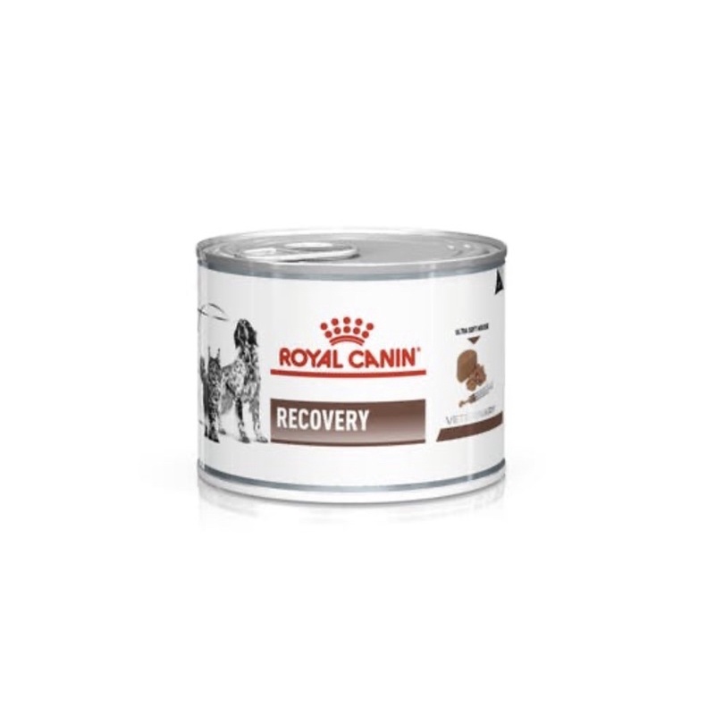 Royal canin Recovery อาหารเปียก สำหรับสุนัขและ แมวป่วยระยะพักฟื้น[[ 1กระป๋อง ]] หมดอายุ 05/2025)
