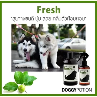 Doggy Potion Fresh Shampoo 500ml&2000ml