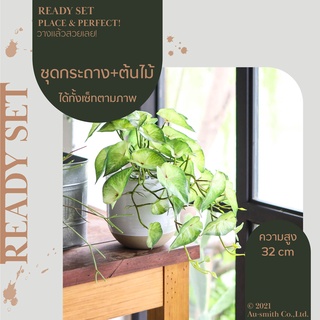 Homequarterbkk-Dipopo Set-Arrow Plant ต้นแอร์โรว์แพลนท์ เซ็ทพร้อมโชว์ ต้นไม้ปลอม พร้อม กระถางเซรามิก สีขาว ราคาต่อ 1 ชุด